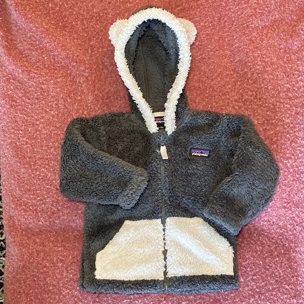 Patagonia Full Zip Fleece Hoodie